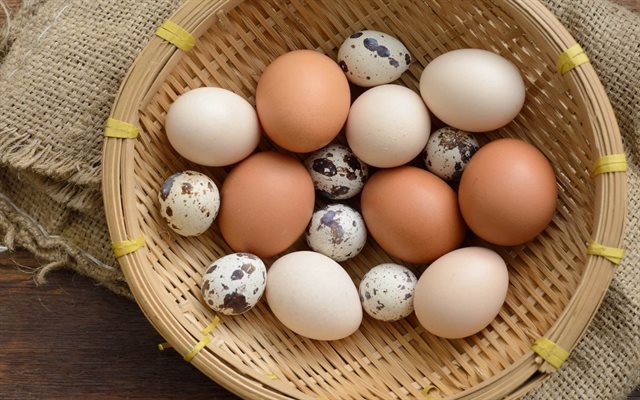 Làm sao để phân biệt trứng gia cầm thật giả